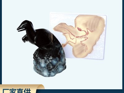 始祖鳥化石及復原模型 生物科教儀器 小學初高中生物科學批發(fā)