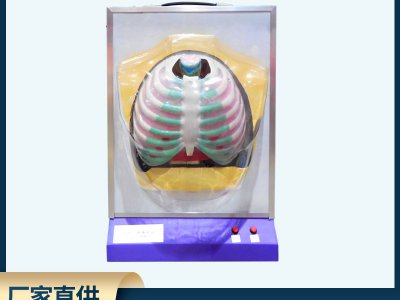 人體呼吸膈肌運動模型 電動式生物實驗儀器高中生物教學教具