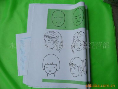 供應批發(fā)小學 初中 美術教學掛圖
